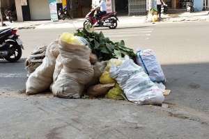 Dịch vụ thu gom, vận chuyển rác sinh hoạt tại TP.HCM liệu có độc quyền?