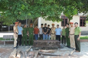 Hà Tĩnh: Bắt giữ xe khách chở động vật hoang dã và gỗ quý trái phép