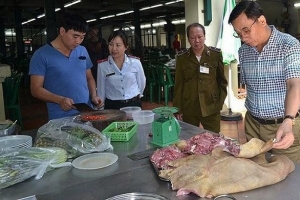 Thành lập Đoàn thanh tra, kiểm tra liên ngành ATTP “Tháng hành động vì An toàn thực phẩm năm 2019"
