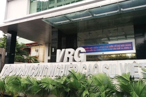 Phó Thủ tướng yêu cầu VRG khẩn trương báo cáo tổng kết dự án trồng cao su tại Tây Bắc