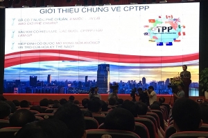 Hội nghị triển khai Hiệp định Đối tác toàn diện và tiến bộ xuyên Thái Bình Dương