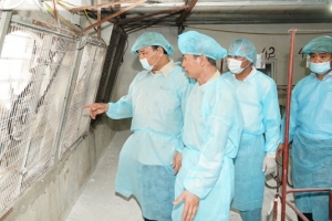 Thủ tướng kiểm tra, đôn đốc công tác phòng chống dịch tả lợn châu Phi