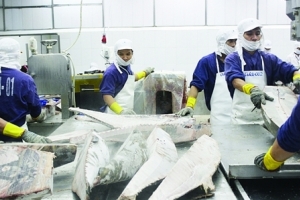 Trung Quốc miễn thuế nhập khẩu cho 33 mặt hàng hải sản của Việt Nam