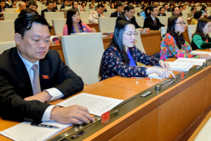 Chống xâm hại trẻ em được đưa vào chương trình giám sát của Quốc hội
