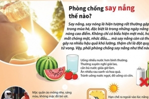 Những điều cần biết về say nắng, say nóng