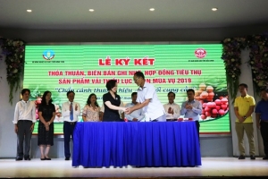 Khai mạc ‘Tuần lễ Vải thiều Lục Ngạn’ tại Hà Nội