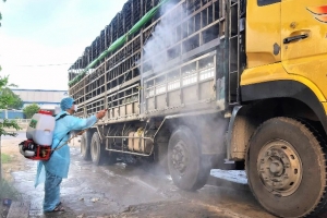 Quảng Nam: Dịch tả lợn châu Phi lây lan tới huyện miền núi Nam Giang