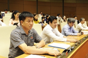 88,64% đại biểu Quốc biểu quyết thông qua Luật Kiến trúc