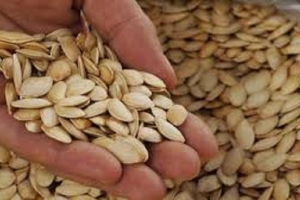 9 tác dụng tuyệt vời của Hạt bí ngô