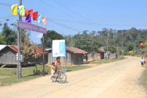 Huyện Kon Plông-Kon Tum: Vụ phun thuốc diệt cỏ ven QL24: Công ty nói nhân viên... làm liều