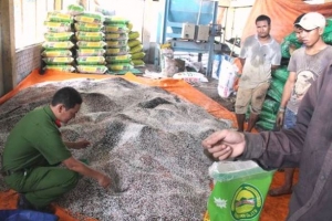 Bình Định: Bắt quả tang một cơ sở sản xuất phân bón giả