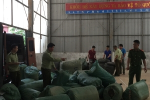 Lạng Sơn: Tạm giữ lô vải, đồ dùng học sinh không có chứng từ chứng minh nguồn gốc