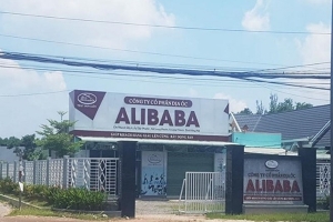 Danh sách 29 dự án của Alibaba tại Đồng Nai bị Bộ Công an điều tra