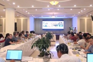 Quảng Nam: Sẽ thành lập Khu bảo tồn loài vọoc chà vá chân xám