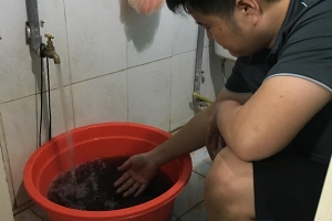 Thị trấn Vạn Hà, Thiệu Hóa, Thanh Hóa: Nghịch lý nước sạch nhưng không “sạch” - dân tự đào giếng lấy nước sử dụng?
