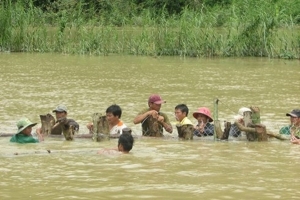 Vỡ đê bao ở Đắk Lắk, 500 ha lúa có nguy cơ mất trắng