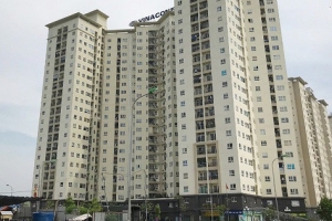 Phó Giám đốc Sở NN&PTNT Hà Nội tử vong