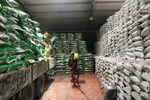 Phát triển phân bón hữu cơ sạch – DN cần chú trọng đầu tư