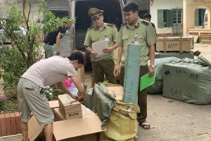 Lạng Sơn: Thu giữ 624 hộp bột tôm muối nhập lậu từ Trung Quốc