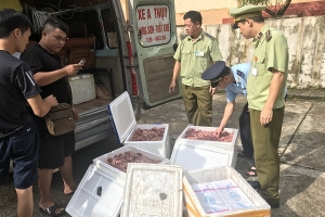 Thu giữ hơn 400 kg thực phẩm đông lạnh không rõ nguồn gốc