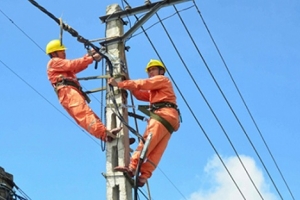 Ninh Bình: Đình chỉ công tác Giám đốc điện lực Gia Viễn do cắt điện không đúng như thông báo