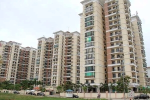 Nhà xa công ty: Dân công sở chạy theo xu hướng thuê nhà trong nội đô