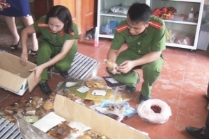 Nghệ An: 153 bánh trung thu “dởm” suýt đến tay người tiêu dùng