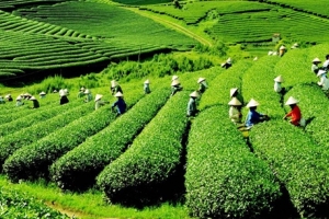 Lai Châu – điểm khám phá lý tưởng trên hành trình Tây Bắc