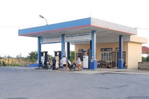 Thái Bình: Công ty CP xây lắp 5 Thái Bình xây dựng công trình, kinh doanh xăng dầu không phép?