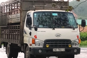 CSGT Đà Nẵng: Bắt giữ xe tải chở động vật cố tình vượt trạm kiểm dịch