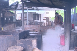 Khánh Hòa: Bùng phát dịch tả heo châu từ 2 tháng trở lại đây