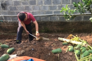 An Dương, Hải Phòng: Mâu thuẫn tranh chấp đất đai do chính quyền địa phương giải quyết không khách quan
