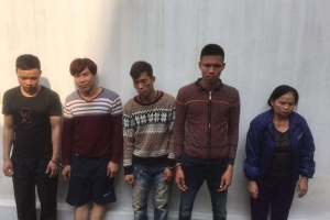 Bà lão 69 tuổi điều hành đường dây trộm chó...