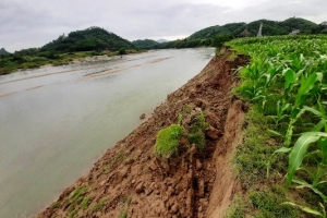 Tuyên Quang: Đất nông nghiệp trôi sông vì doanh nghiệp khai thác cát