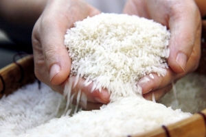 Gạo 'ngon nhất thế giới' bị nhái tràn lan
