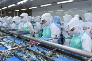 EU giảm nhập khẩu tôm Việt