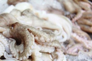 Xuất khẩu mực, bạch tuộc Việt Nam sang Mỹ tăng mạnh
