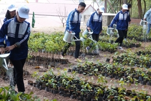 Trường học ươm mầm xanh từ “Sứ giả môi trường”