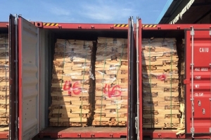 Phát hiện hơn 100 container gỗ xuất khẩu có dấu hiệu gian lận thuế