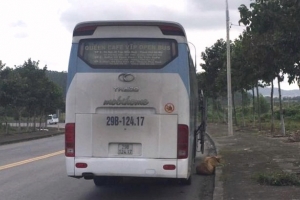 Đà Nẵng: Phát hiện hơn 2 tấn giò chả, hàng lậu ngụy trang trên xe khách