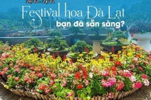 Festival Hoa Đà Lạt 2019: Diễn ra ngay dịp Giáng sinh về