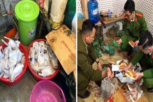 Mua thịt gà không rõ nguồn gốc về sơ chế, đóng gói bán ra thị trường