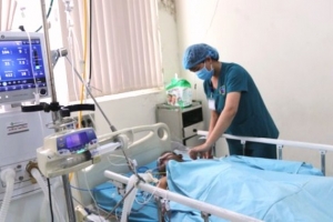 Quảng Ngãi: 1 người tử vong trong vụ ngộ độc cá nóc