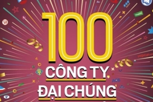 Lĩnh vực ngân hàng chiếm áp đảo trong top 100 công ty đại chúng lớn nhất