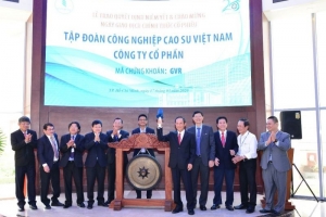 4 tỷ cổ phiếu Tập đoàn Cao su “đổ bộ” lên HOSE