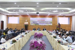 Lào Cai: Nỗ lực hỗ trợ doanh nghiệp nhỏ và vừa