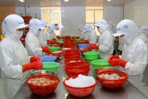 EU đóng cửa biên giới ảnh hưởng Việt Nam thế nào?