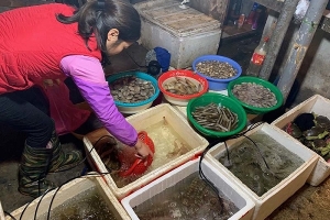 Nhiều tiểu thương tăng giá thực phẩm để trục lợi