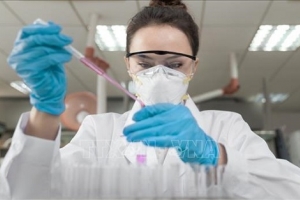 Nghiên cứu vaccine phòng virus SARS-CoV-2 trên chuột cho kết quả khả quan