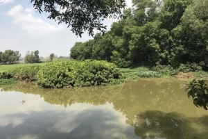 Đồng Nai: Tìm thấy thi thể người đàn ông mất tích trên sông